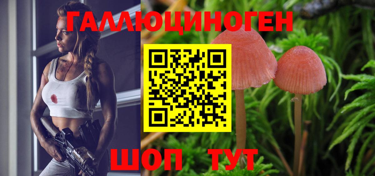 Шатура  Галлюциногенные грибы Magic Shrooms  Вход с VPN 